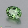 Natural Demantoid garnet 0.87 Carats Green Oval 7x5 mm Loose Gemstone - Image 3