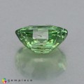 Natural Demantoid garnet 0.87 Carats Green Oval 7x5 mm Loose Gemstone - Image 4