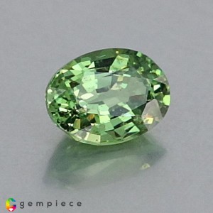 demantoid garnet  0.87cts - 7x5mm demantoid garnet  0.87cts - 7x5mm