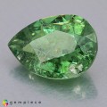 Natural Demantoid garnet 3.46 Carats Green Pear 11x8 mm Loose Gemstone - Image 2