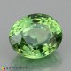 demantoid garnet Demantoid Garnet image