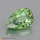 demantoid garnet Demantoid Garnet image