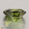 Natural Demantoid garnet 1.87 Carats Green Oval 9x7 mm Loose Gemstone - Image 4