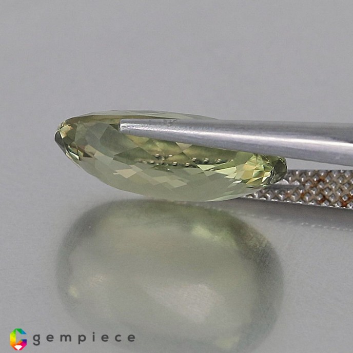 Showing image for diaspore diaspore Diaspore image