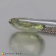 Showing image for diaspore diaspore Diaspore image