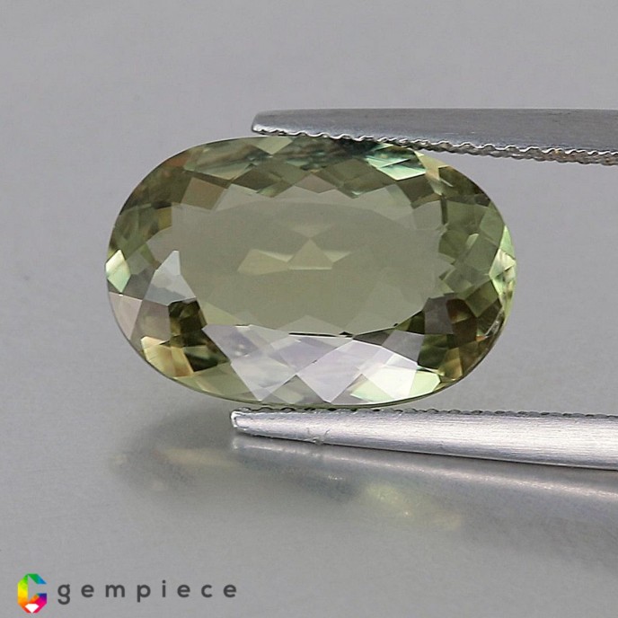 Showing image for diaspore diaspore Diaspore image