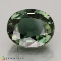 Natural Tourmaline 9.44 Carats Hunter Green Oval 14x12 mm Loose Gemstone - Image 1