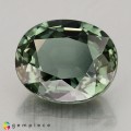 Natural Tourmaline 9.44 Carats Hunter Green Oval 14x12 mm Loose Gemstone - Image 2