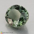 Natural Tourmaline 9.44 Carats Hunter Green Oval 14x12 mm Loose Gemstone - Image 4