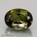 Natural Tourmaline 7.34 Carats Hunter Green Oval 13x10 mm Loose Gemstone - Image 2