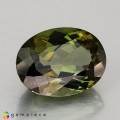Natural Tourmaline 7.34 Carats Hunter Green Oval 13x10 mm Loose Gemstone - Image 5