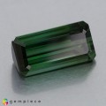 Natural Tourmaline 4.16 Carats Forest Green Antique Cushion 13x6 mm Loose Gemstone - Image 3