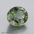 Natural Tourmaline 3.70 Carats Pastel Green Oval 10x9 mm Loose Gemstone - Image 4