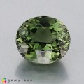 Natural Tourmaline 3.70 Carats Pastel Green Oval 10x9 mm Loose Gemstone - Image 1