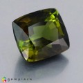 Natural Tourmaline 6.21 Carats Honey Green Cushion 11x10 mm Loose Gemstone - Image 1