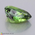 Natural Tourmaline 4.97 Carats Green Pear 13x9 mm Loose Gemstone - Image 2