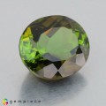 Natural Tourmaline 3.35 Carats Honey Green Oval 10x8 mm Loose Gemstone - Image 4