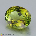 Natural Tourmaline 2.29 Carats Yellowish Green Oval 9x7 mm Loose Gemstone - Image 2