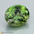Natural Tourmaline 2.75 Carats Green Oval 9x8 mm Loose Gemstone - Image 5