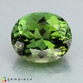 Natural Tourmaline 2.75 Carats Green Oval 9x8 mm Loose Gemstone - Image 1