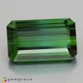 Natural Tourmaline 4.47 Carats Vivid Green Emerald Cut 12x7 mm Loose Gemstone - Image 2