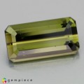 Natural Tourmaline 5.51 Carats Honey Green Emerald Cut 15x8 mm Loose Gemstone - Image 4