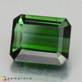 Natural Tourmaline 5.24 Carats Vivid Green Emerald Cut 10x8 mm Loose Gemstone - Image 1