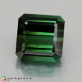Natural Tourmaline 3.58 Carats Vivid Green Octagon 8x8 mm Loose Gemstone - Image 2