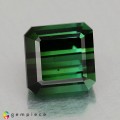 Natural Tourmaline 3.58 Carats Vivid Green Octagon 8x8 mm Loose Gemstone - Image 1