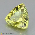 Natural Grossular garnet 2.63 Carats Vivid Yellow Trilliant  9x9 mm Loose Gemstone - Image 4