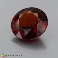 Natural Hessonite garnet 11.99 Carats Cinnamon Red Round 15x7 mm Loose Gemstone - Image 4