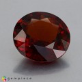 Natural Hessonite garnet 11.99 Carats Cinnamon Red Round 15x7 mm Loose Gemstone - Image 3