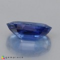 Natural Kyanite 2.99 Carats Cornflower Blue Oval 12x7 mm Loose Gemstone - Image 2