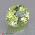 Natural Montebrasite 3.10 Carats Yellowish Green Oval 10x8 mm Loose Gemstone - Image 3