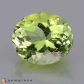 Natural Montebrasite 3.10 Carats Yellowish Green Oval 10x8 mm Loose Gemstone - Image 1
