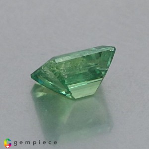 demantoid garnet  1.66cts - 7x6mm demantoid garnet  1.66cts - 7x6mm