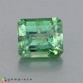 Natural Demantoid garnet 1.66 Carats Green Octagon 7x6 mm Loose Gemstone - Image 3