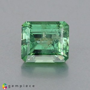 demantoid garnet  1.66cts - 7x6mm demantoid garnet  1.66cts - 7x6mm