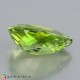 Showing image for peridot peridot Peridot image