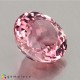 Showing image for tourmaline tourmaline Pink Tourmaline image