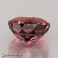Natural Tourmaline 3.20 Carats Hot Pink Round 9x6 mm Loose Gemstone - Image 4