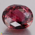 Natural Tourmaline 22.14 Carats Vivid Purplish Pink Oval Checker 18x15 mm Loose Gemstone - Image 3