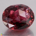 Natural Tourmaline 22.14 Carats Vivid Purplish Pink Oval Checker 18x15 mm Loose Gemstone - Image 4