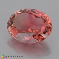Natural Tourmaline 4.95 Carats Orange Pink Oval 12x10 mm Loose Gemstone - Image 3