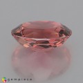 Natural Tourmaline 4.95 Carats Orange Pink Oval 12x10 mm Loose Gemstone - Image 4