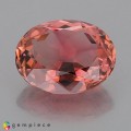 Natural Tourmaline 4.95 Carats Orange Pink Oval 12x10 mm Loose Gemstone - Image 1