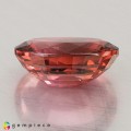 Natural Tourmaline 4.34 Carats Pink Oval 12x10 mm Loose Gemstone - Image 3