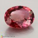 Showing image for tourmaline tourmaline Pink Tourmaline image