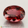 Natural Tourmaline 3.42 Carats Vivid Pink Oval 11x8 mm Loose Gemstone - Image 3