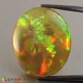 Natural Opal 22.57 Carats Rainbow Oval Cabochon 26x22 mm Loose Gemstone - Image 1